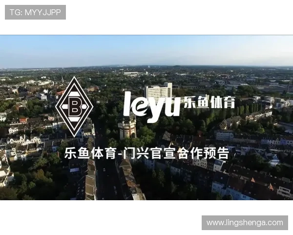 乐鱼鲍勃体育的未来发展方向与创新策略，助力平台持续优化用户体验